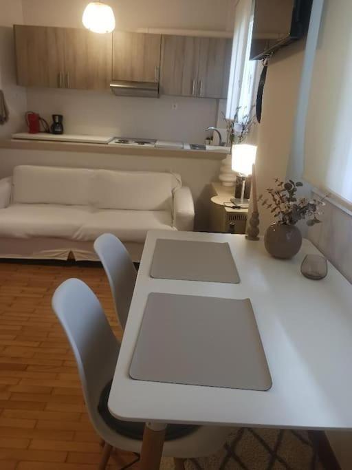 Beautiful Downtown Studio! Janina Zewnętrze zdjęcie